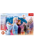 Puzzle 24 maxi Magiczna wyprawa TREFL