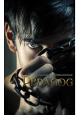 Pedagog