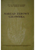 Narząd Zębowy Człowieka