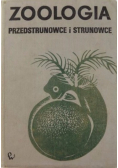 Zoologia przedstrunowce i strunowce