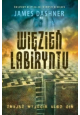Więzień Labiryntu