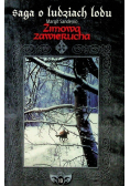 Zimowa zawierucha