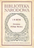 Cierpienia młodego Wertera