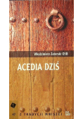 Acedia dziś