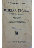 Dzielna trójka 1928 r.