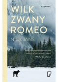 Wilk zwany Romeo