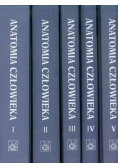 Anatomia człowieka 5 tomów