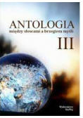 Antologia między słowami a brzegiem myśli