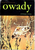 Owady zwierzęta świata