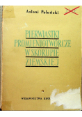 Pierwiastki promieniotwórcze w skorupie ziemskiej