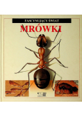 Fascynujący świat mrówki