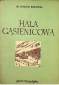 Hala Gąsienicowa