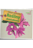 Porady Eksperta Rośliny doniczkowe