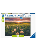 Puzzle 500 Łąka
