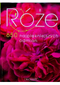 Róże 650 najpiękniejszych odmian