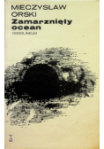 Zamarznięty ocean