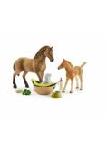 Zestaw pielęgnacyjny Quarter Horse + źrebię