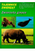 Tajemnice zwierząt Zwierzęta ginące