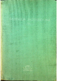 Geodezja inżynieryjna