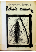 Pachnie ziemia
