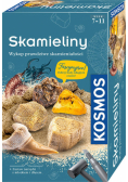 Zestaw Archeologiczny Skamieliny