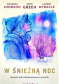 W śnieżną noc