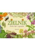 Zielnik Zioła łąk i ogrodów