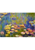 Puzzle 1000 Nenufary, Claude Monet