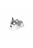 Pies Husky 42cm