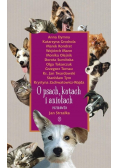O psach kotach i aniołach
