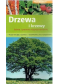 Drzewa i krzewy łatwe i pewne rozpoznawanie
