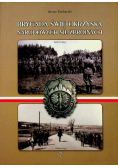 Brygada Świętokrzyska narodowych sił zbrojnych
