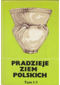 Pradzieje Ziem Polskich Tom I Część I