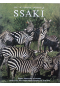 Ssaki Encyklopedia zwierząt