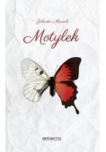 Motylek