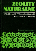 Zeolity naturalne