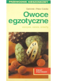 Owoce egzotyczne