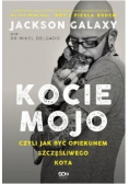 Kocie mojo