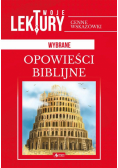 Opowieści biblijne BR