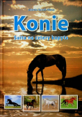 Konie