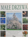 Małe drzewa