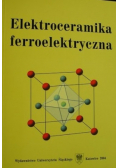 Elektroceramika ferroelektryczna