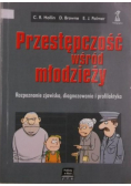 Przestępczość wśród młodzieży