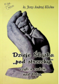 Dzieje Śląska pod strzechy