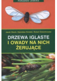 Poradnik leśnika Drzewa iglaste i owady na nich żerujące