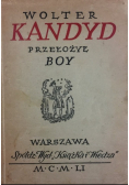 Wolter Kandyd czyli optymizm