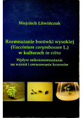 Rozmnażanie borówki wysokiej w kulturach in vitro