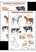 Plansza Zwierzęta hodowlane