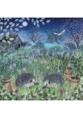 Karnet kwadrat z kopertą Hedgehogs