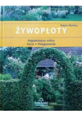 Żywopłoty